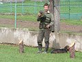 Polovnicke zdruzenie-Lipie   57
